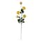 32" Ranunculus Stem with Leaves by Ashland®